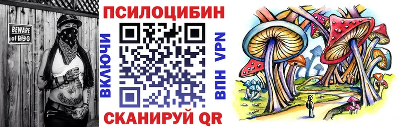 ОМГ ОМГ tor  купить закладку  Абдулино  Галлюциногенные грибы прущие грибы 